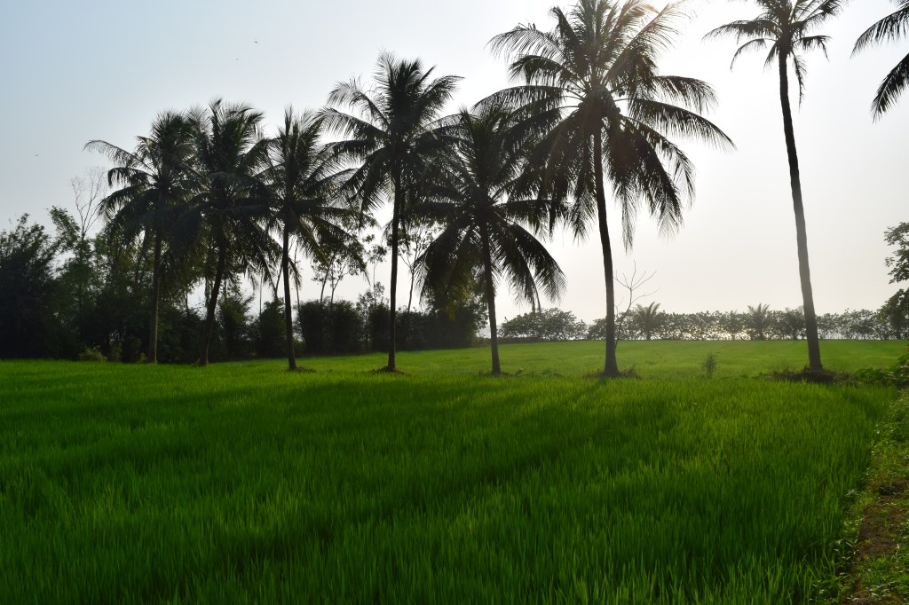 Good Morning Vietnam